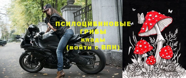 дурь Верхний Тагил