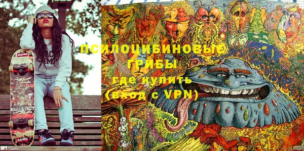 дурь Верхний Тагил