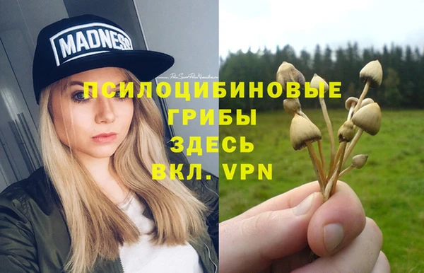 крисы Верхнеуральск
