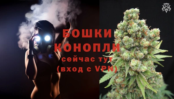 СК Волоколамск